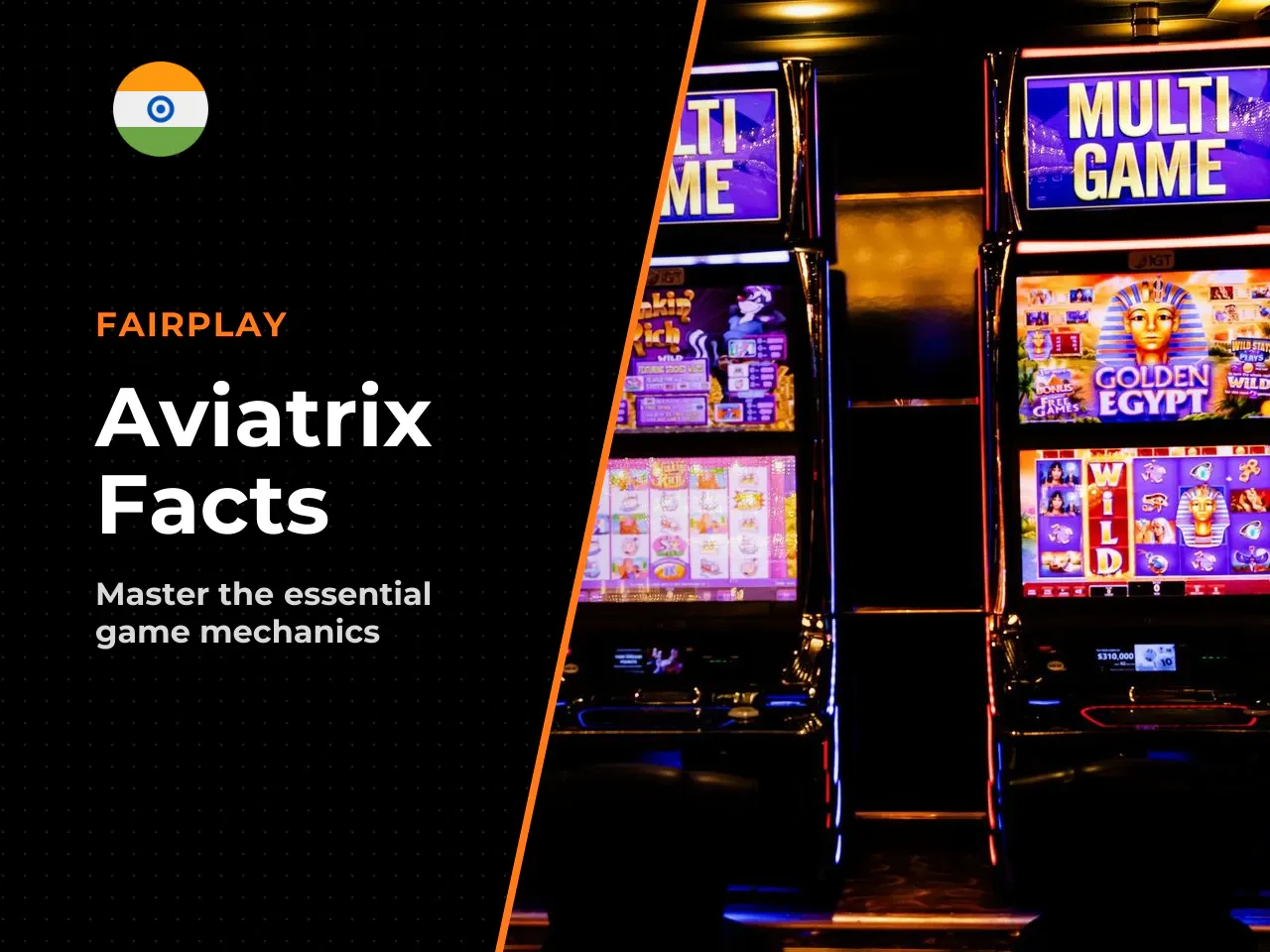 Aviatrix in 8 Key Facts